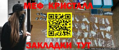 крисы Дубна