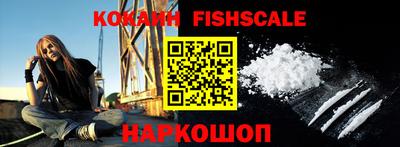 крисы Дубна