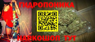индика Донецк
